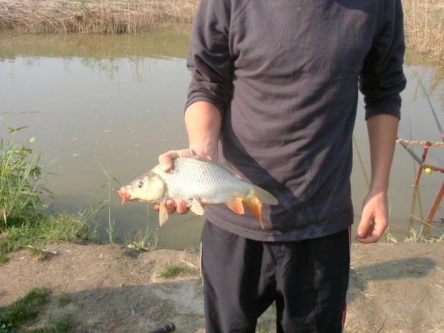 Demult 2003-2004 cine mai stie.... - unnamed-6.jpg